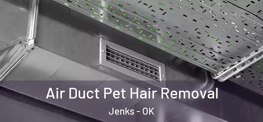 Air Duct Pet Hair Removal Jenks - OK