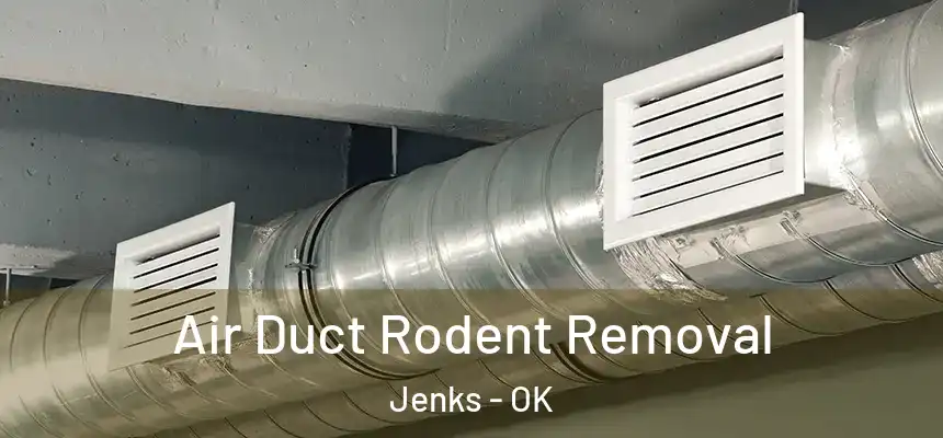 Air Duct Rodent Removal Jenks - OK