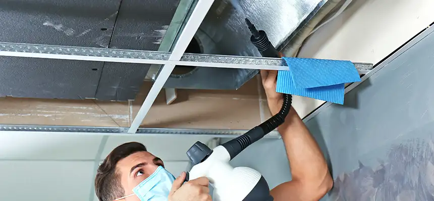 Our Air Duct Rodent Removal Services in Jenks, OK