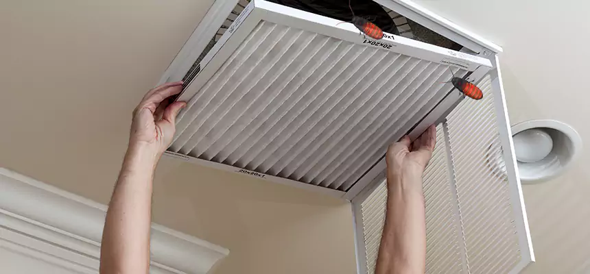 Our Insect Removal from Air Ducts Services in Jenks, OK