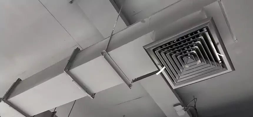 Our Rodent Droppings In Vents Services in Jenks, OK