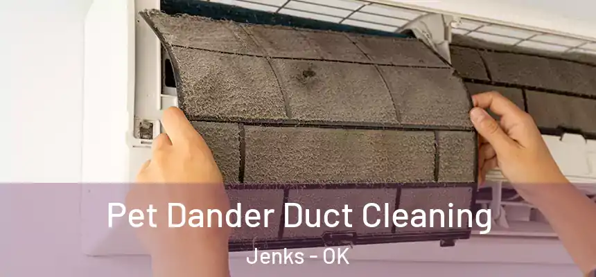  Pet Dander Duct Cleaning Jenks - OK