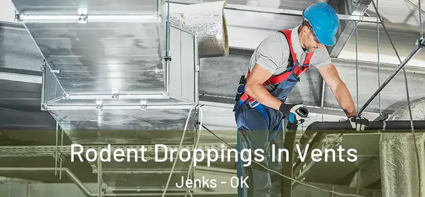  Rodent Droppings In Vents Jenks - OK